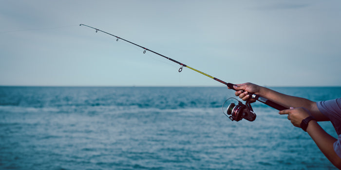 Stainless Essentials for Fishing
